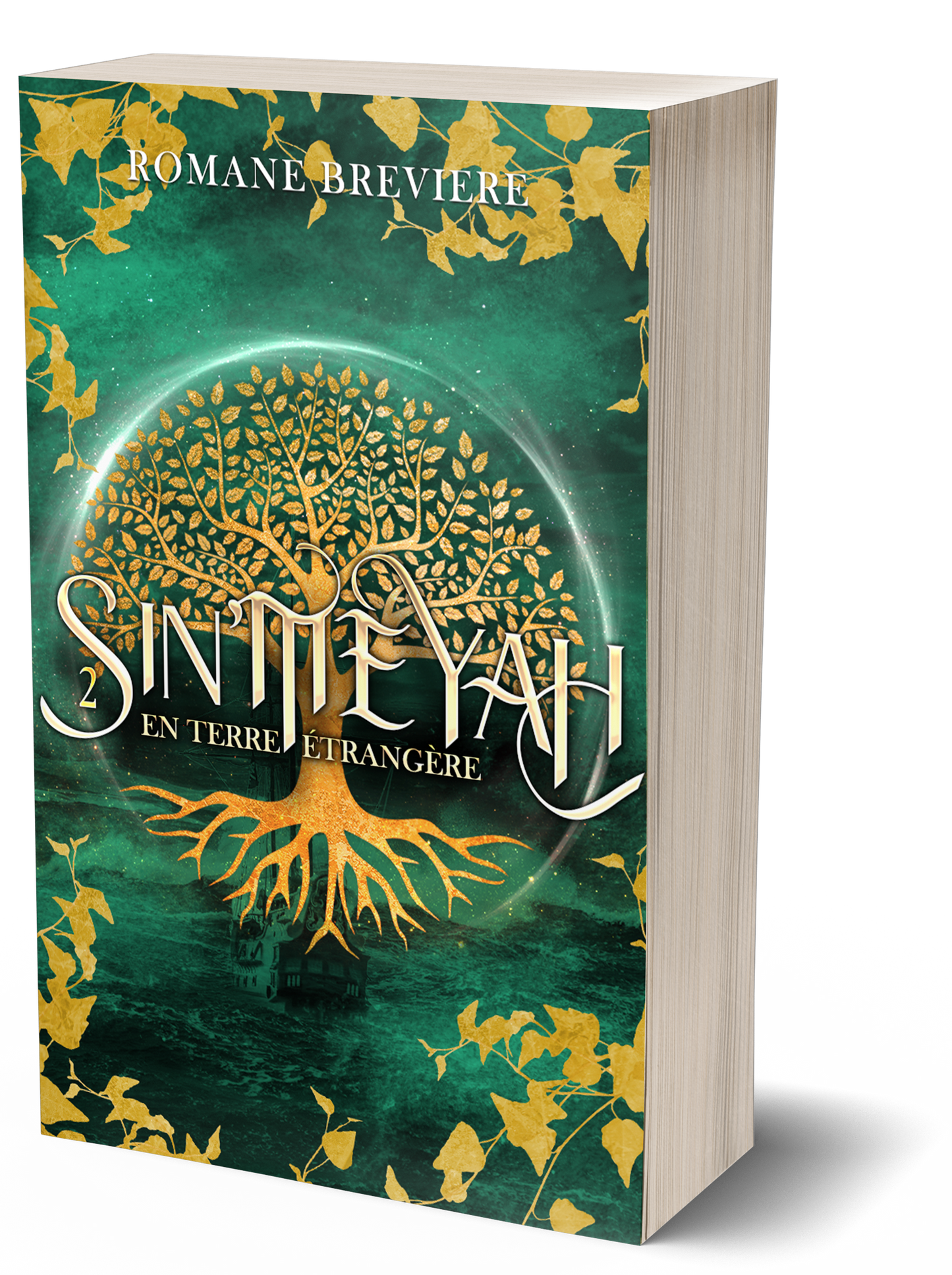 Sin'Meyah Tome 2, broché