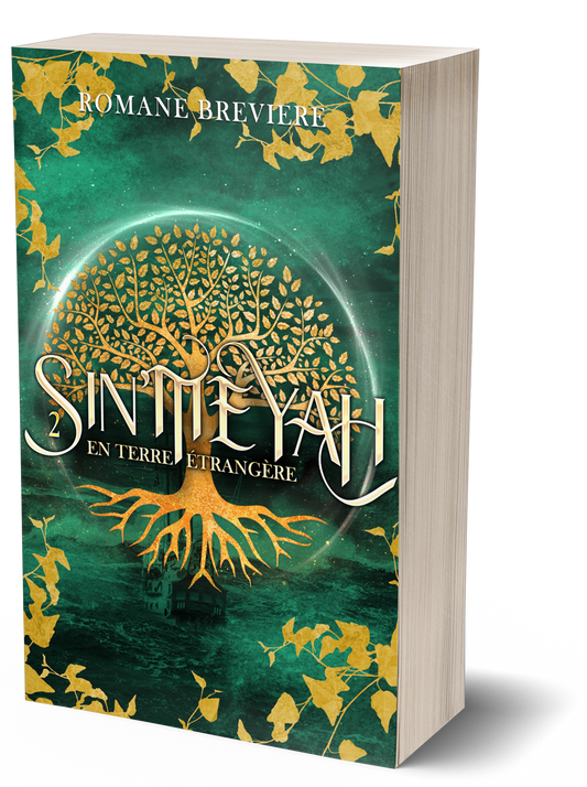 Sin'Meyah Tome 2, broché