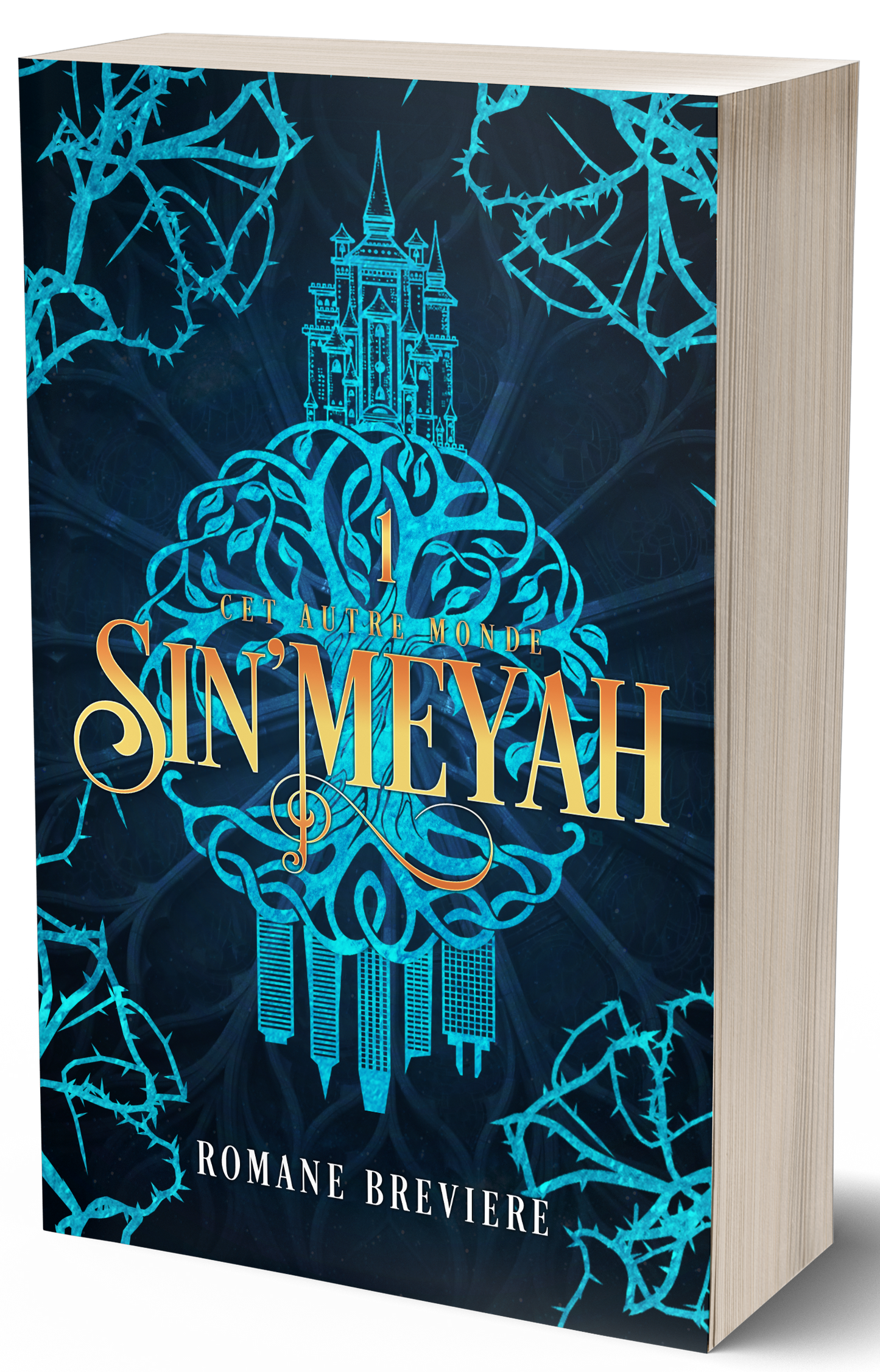 Sin'Meyah Tome 1, broché