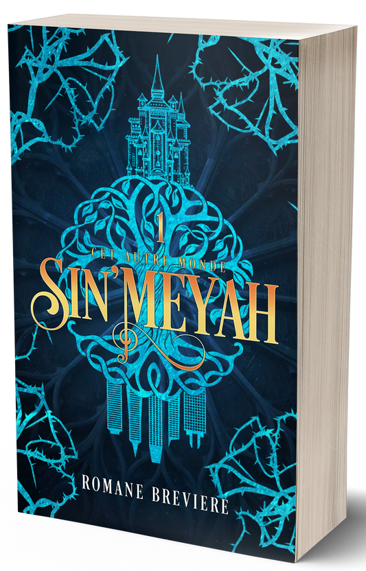 Sin'Meyah Tome 1, broché